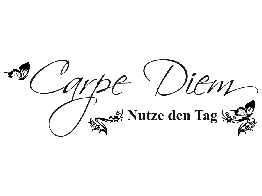 Wandtattoo Carpe Diem Nutze den Tag 120 x 37 cm WT-0082