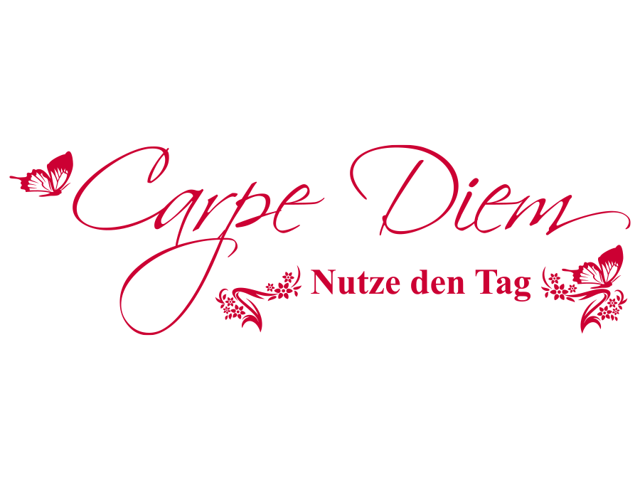 Wandtattoo Carpe Diem Nutze den Tag 120 x 37 cm WT-0082