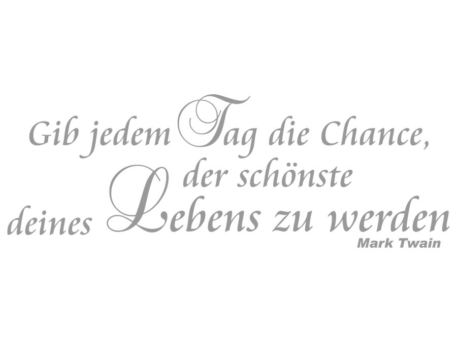 Wandtattoo Gib jedem Tag die Chance 100 x 35 cm WT-0087