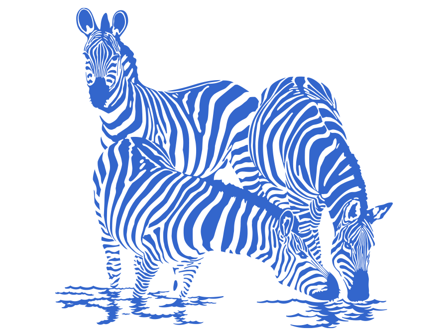 Wandtattoo Zebra 100 x 95 cm WT-0091