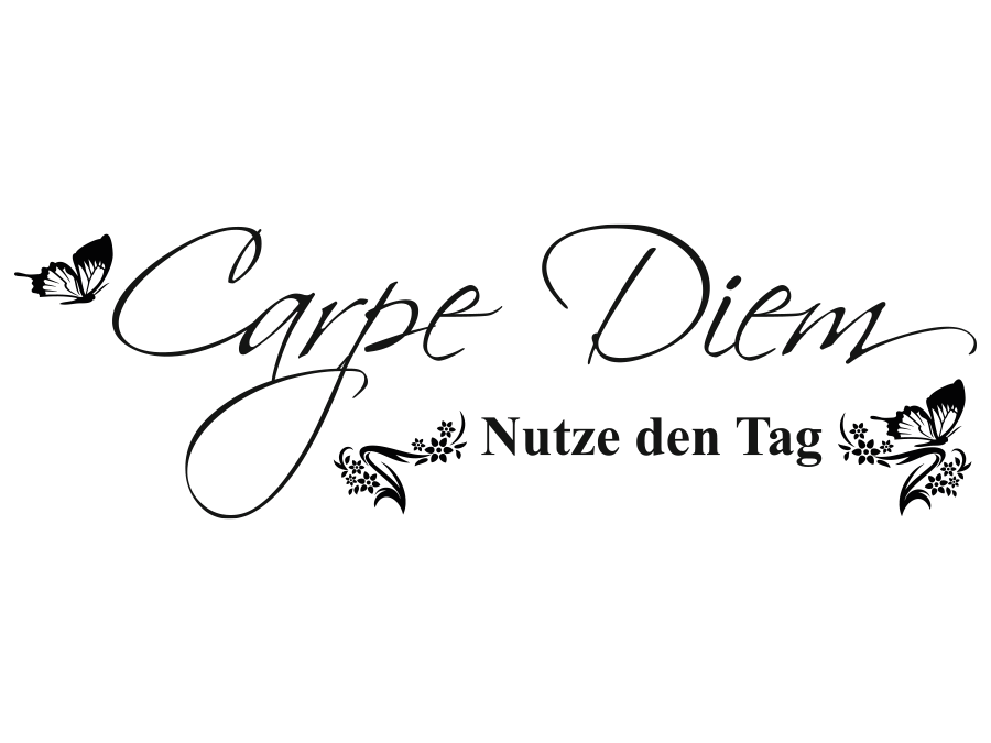 Wandtattoo Carpe Diem Nutze den Tag bis 240 x 74 cm WT-0083