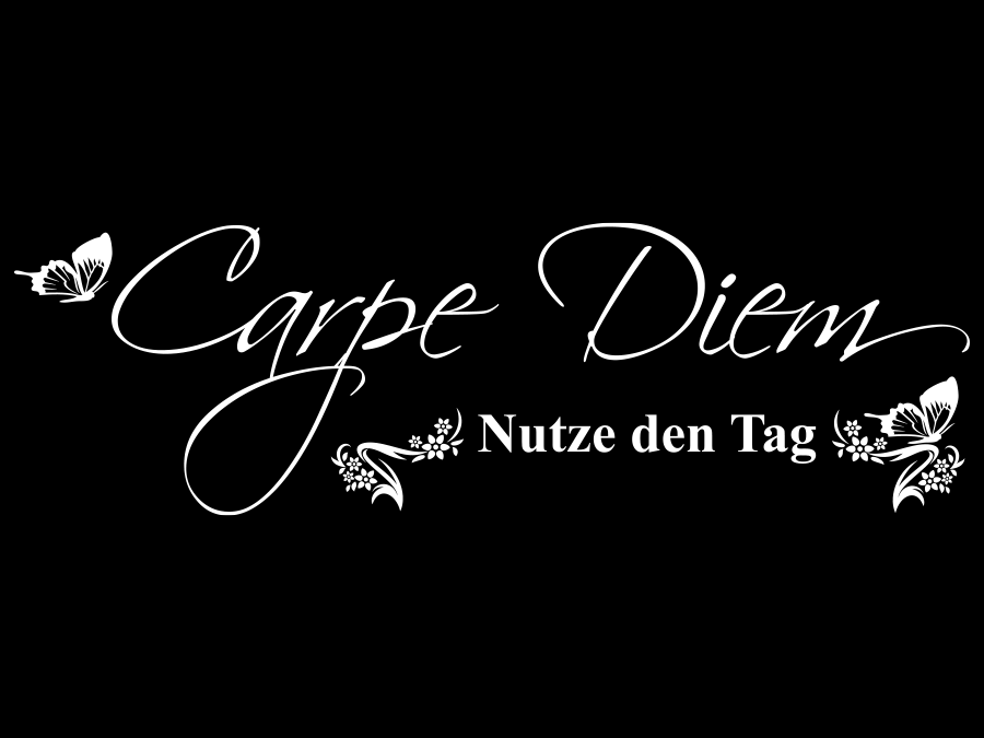 Wandtattoo Carpe Diem Nutze den Tag 120 x 37 cm WT-0082