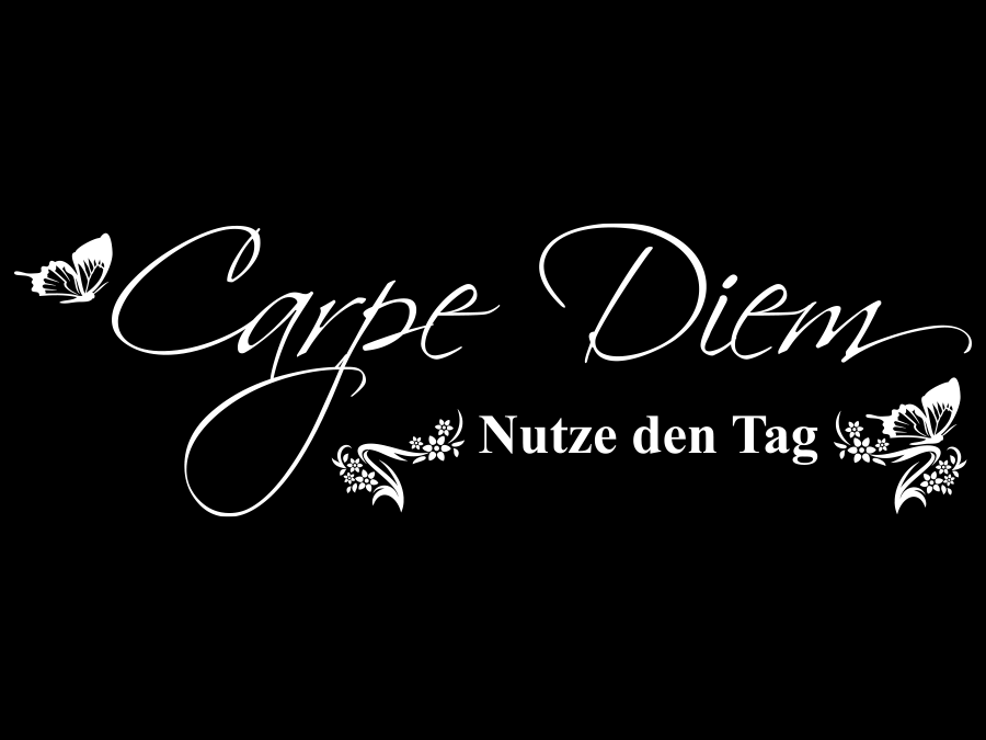 Wandtattoo Carpe Diem Nutze den Tag bis 240 x 74 cm WT-0083