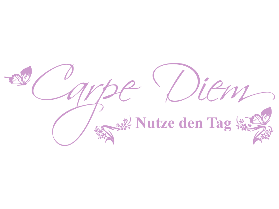 Wandtattoo Carpe Diem Nutze den Tag 120 x 37 cm WT-0082